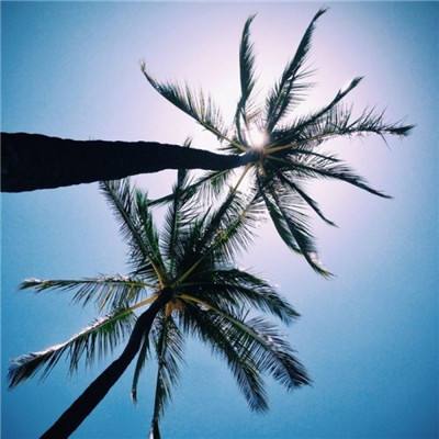 神鬼大陆3破解版下载
